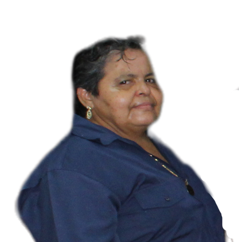 Perfil1